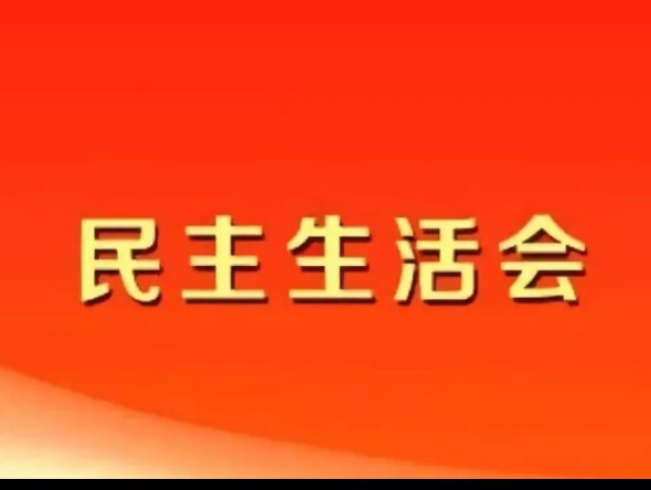 甘肅演藝集團(tuán)黨委黨史學(xué)習(xí)教育專題民主生活會方案